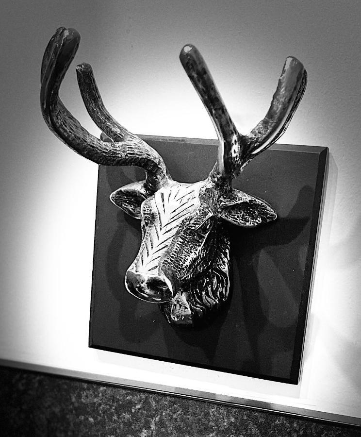 Dalmore نايرن المظهر الخارجي الصورة